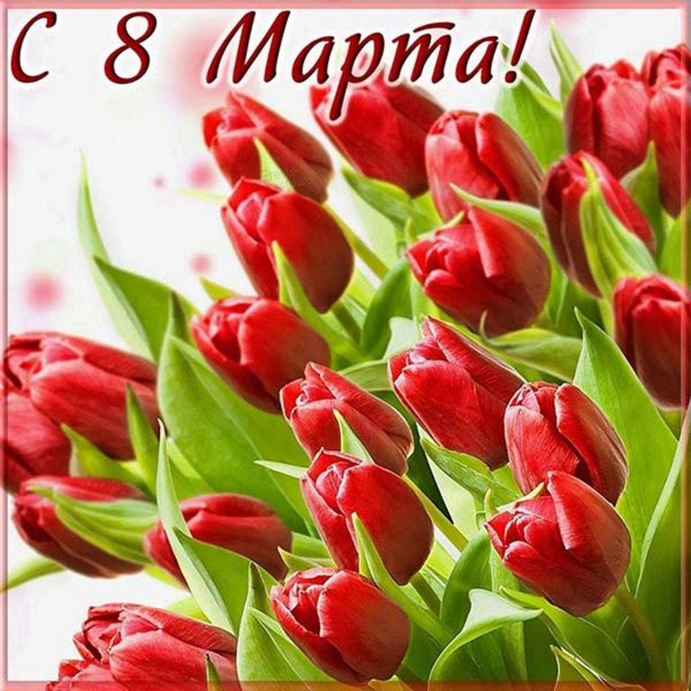 С8